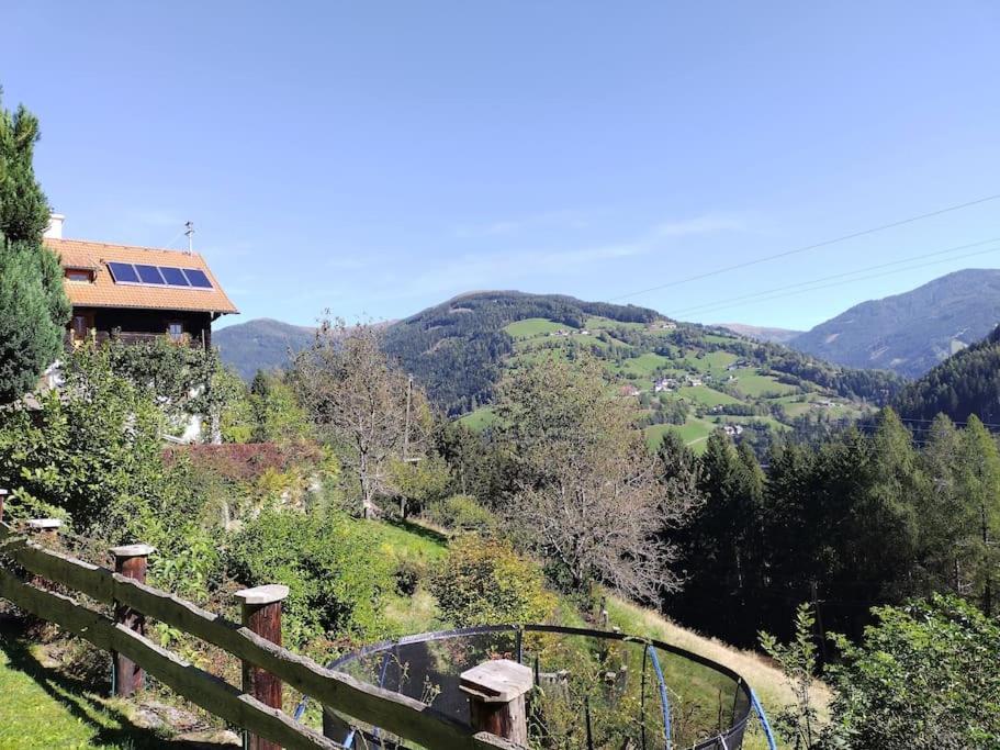 Fw Schnuckel In 300A Altem Bergbauernhaus 1110M Plessnitz Exterior photo